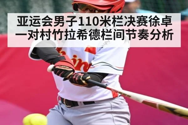 亚运会男子110米栏决赛徐卓一对村竹拉希德栏间节奏分析